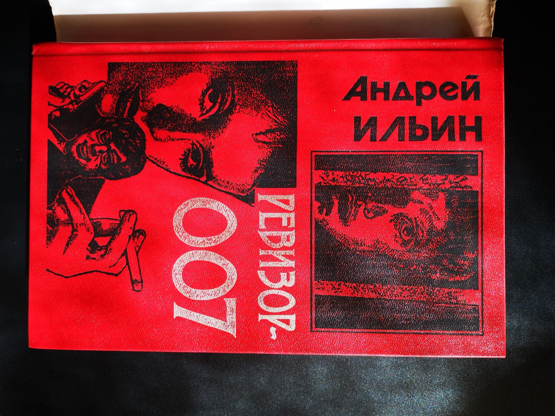 книга Андрей Ильин Ревизор 007