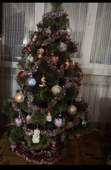 Пишна сосна з засніженими кінчиками