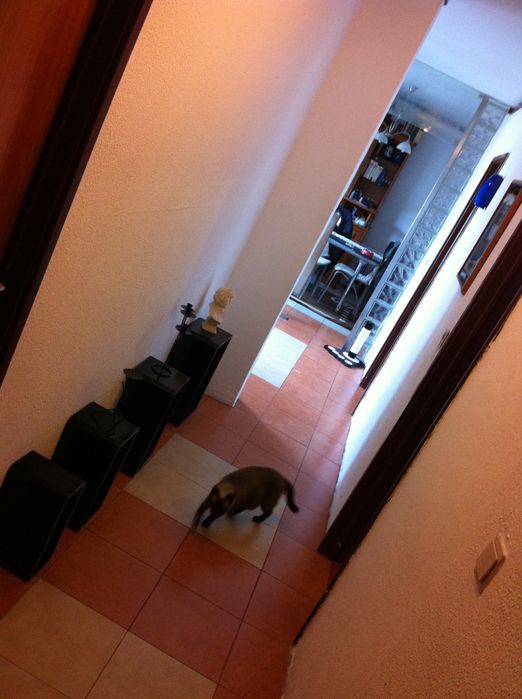 Quarto de casal perto Arrábida Shopping