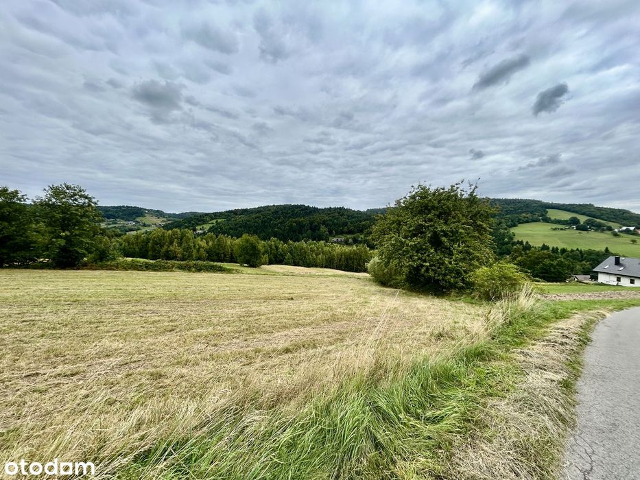 ➡️Widokowa➡️Możliwość zakupu dodatkowych 4 działek➡️Media➡️MPZP➡️