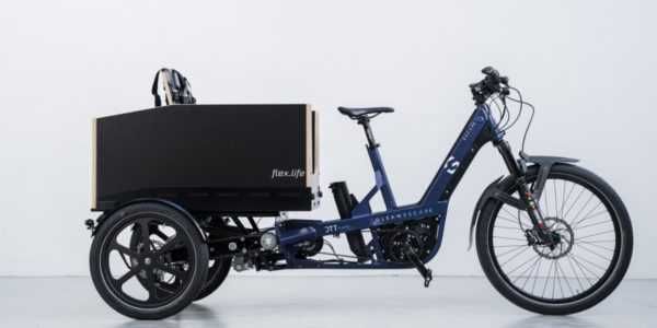 Bicicleta de Carga - Gleam  E Cargo Bike - Assento para 2 crianças