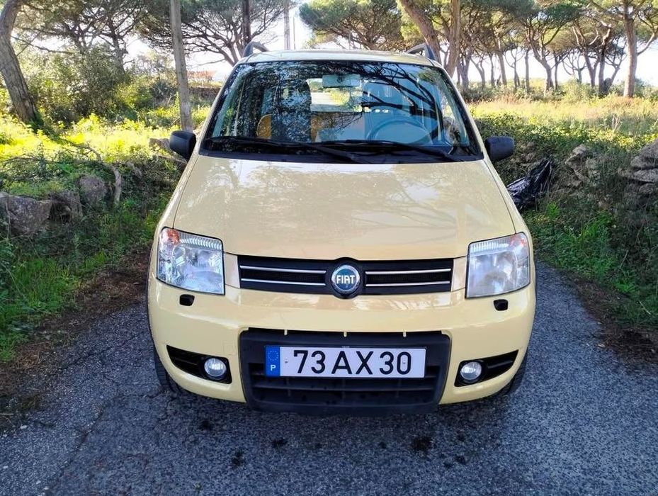 Fiat Panda 4x4 Climbing – 2005 – 170.000 km – 1.3 Multijet