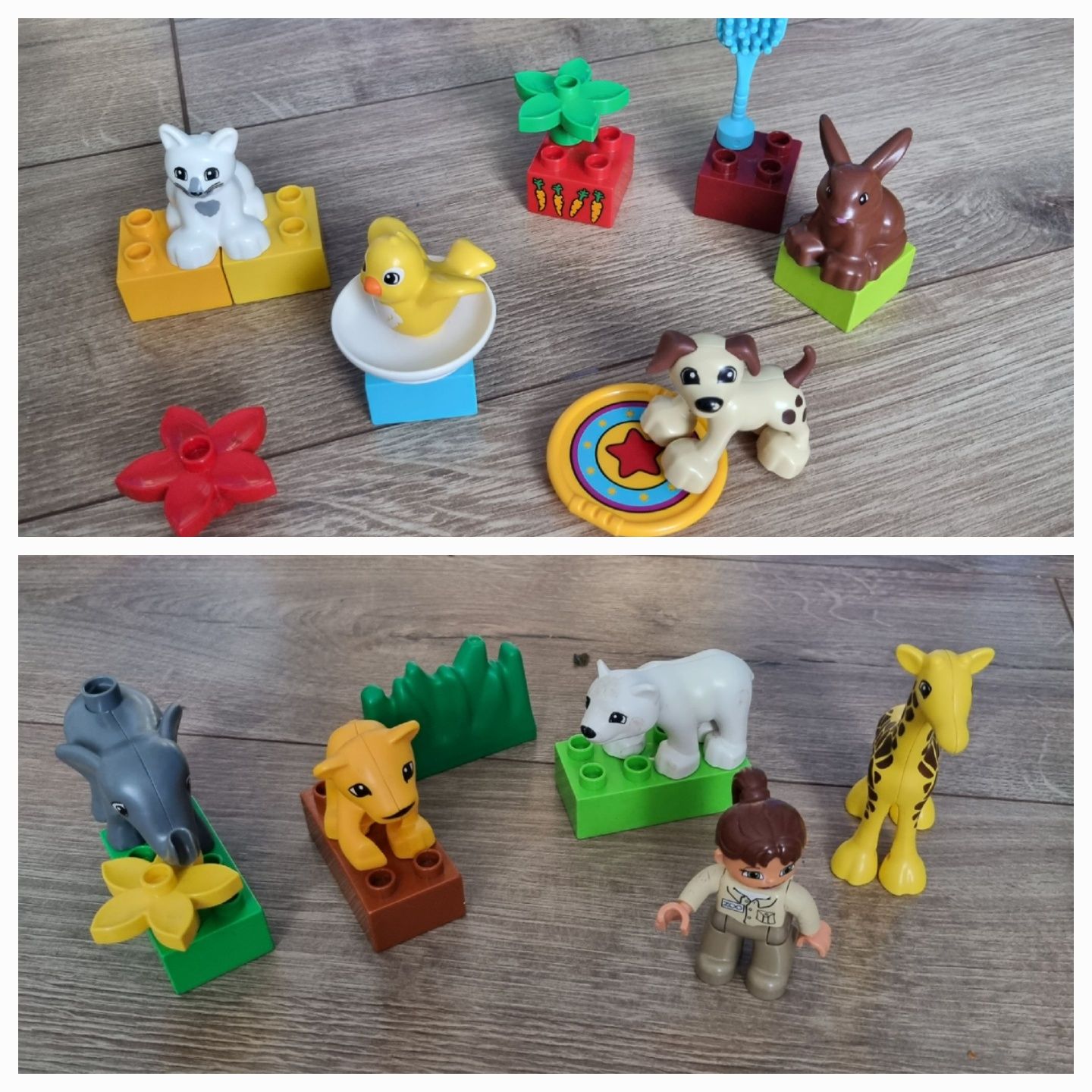 Lego Duplo, zwierzęta domowe + zoo