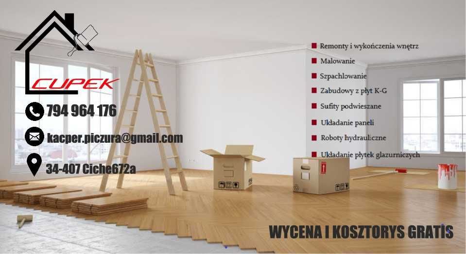 Wykończenia Wnętrz/Remonty/Hydroizolacje budynków