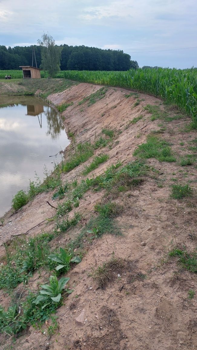 Oddam  w zamian  za wykonanie  i pogłębienie stawu