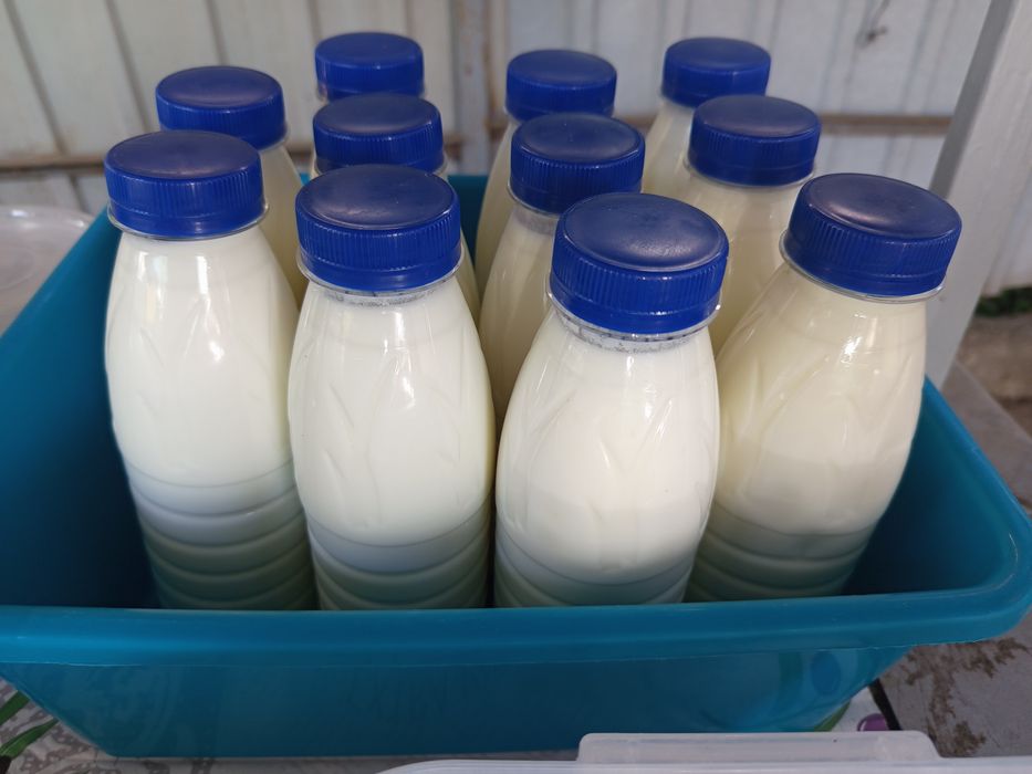 Козиний сир, крафтове сироваріння та інша продукція з козиного молока