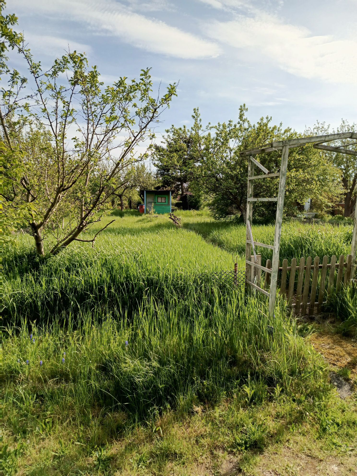 Kozanów, ogródek
