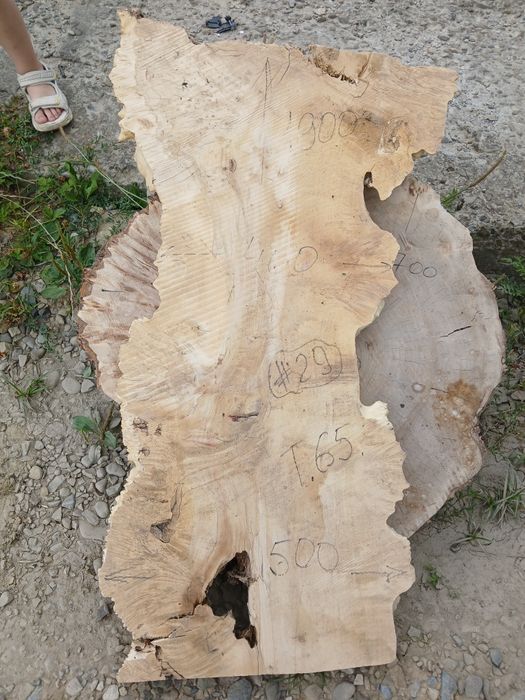 Торцеві спили, слеби клен, горіх