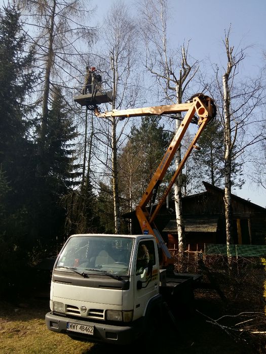 Wycinka drzew z podnośnika , usługa rębakiem, pielęgnacja koron drzew