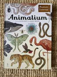 Animalium książka muzeum zwierząt