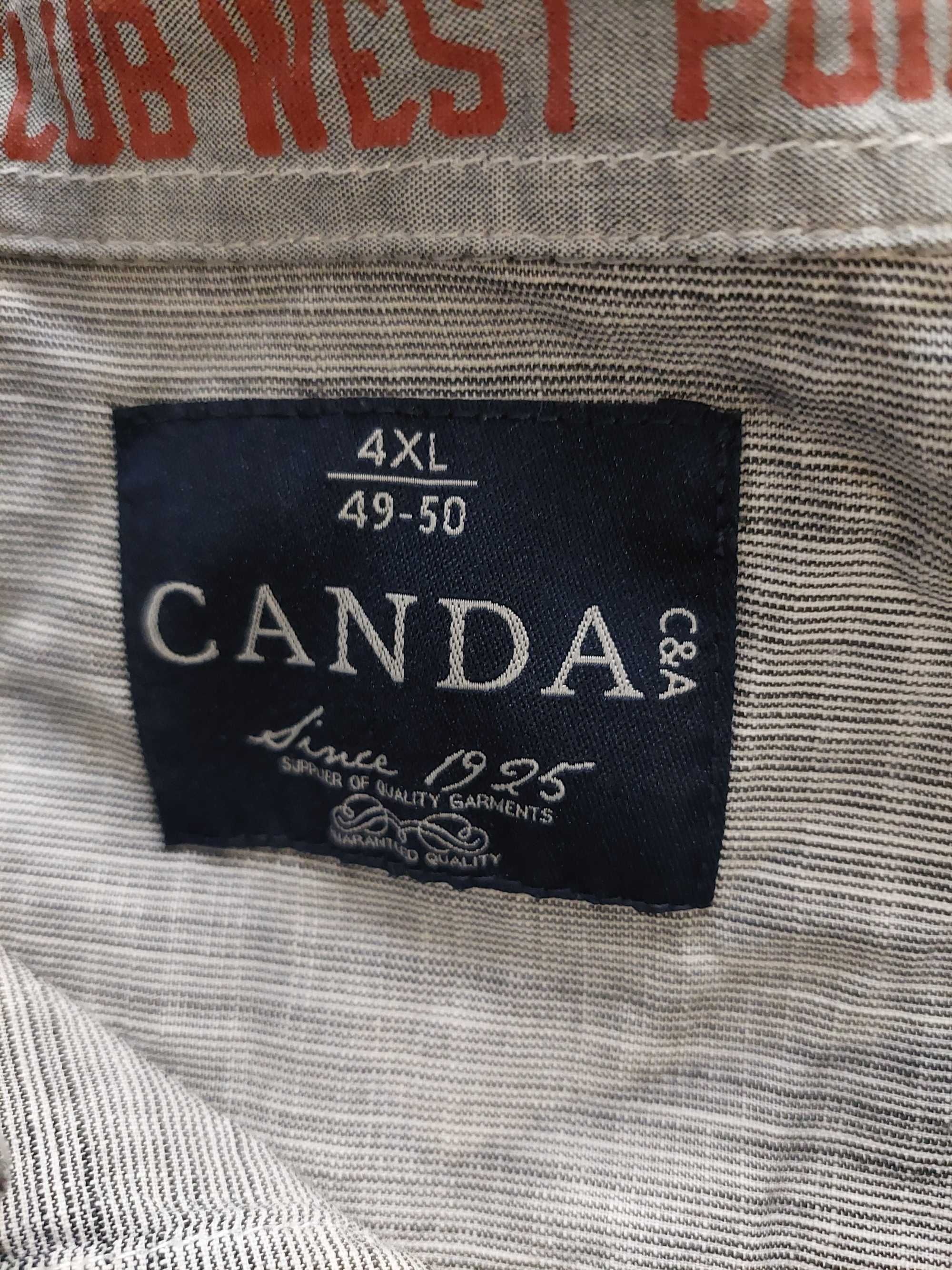 koszula szara C&A 4XL, 49-50
