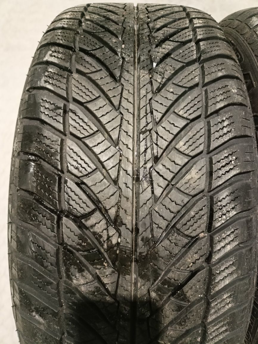 4 x koła BMW X5 X6 oryginał 255/55 R19