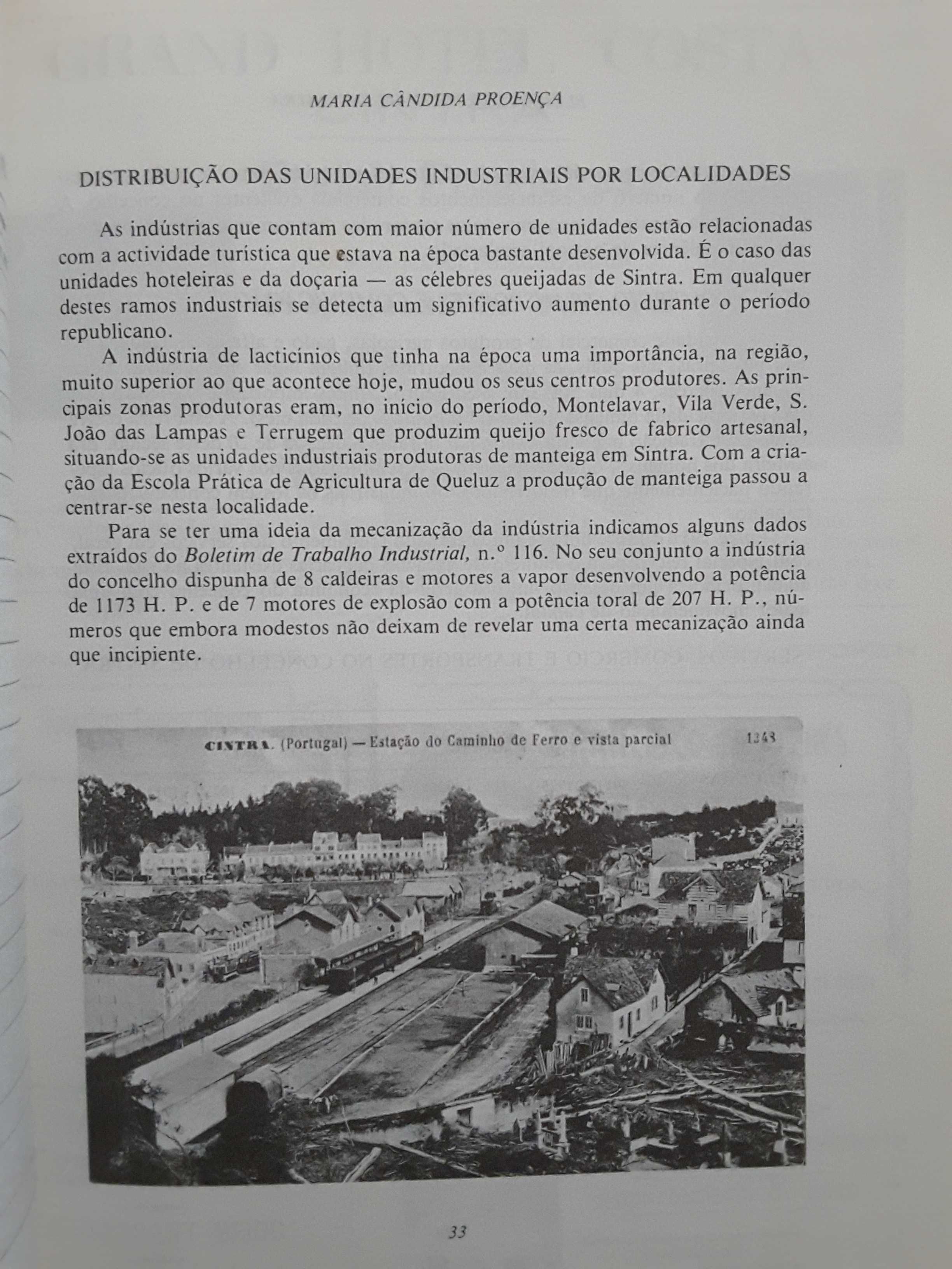 Eleições Municipais em Sintra 1910/1926 / A Crise do Liberalismo