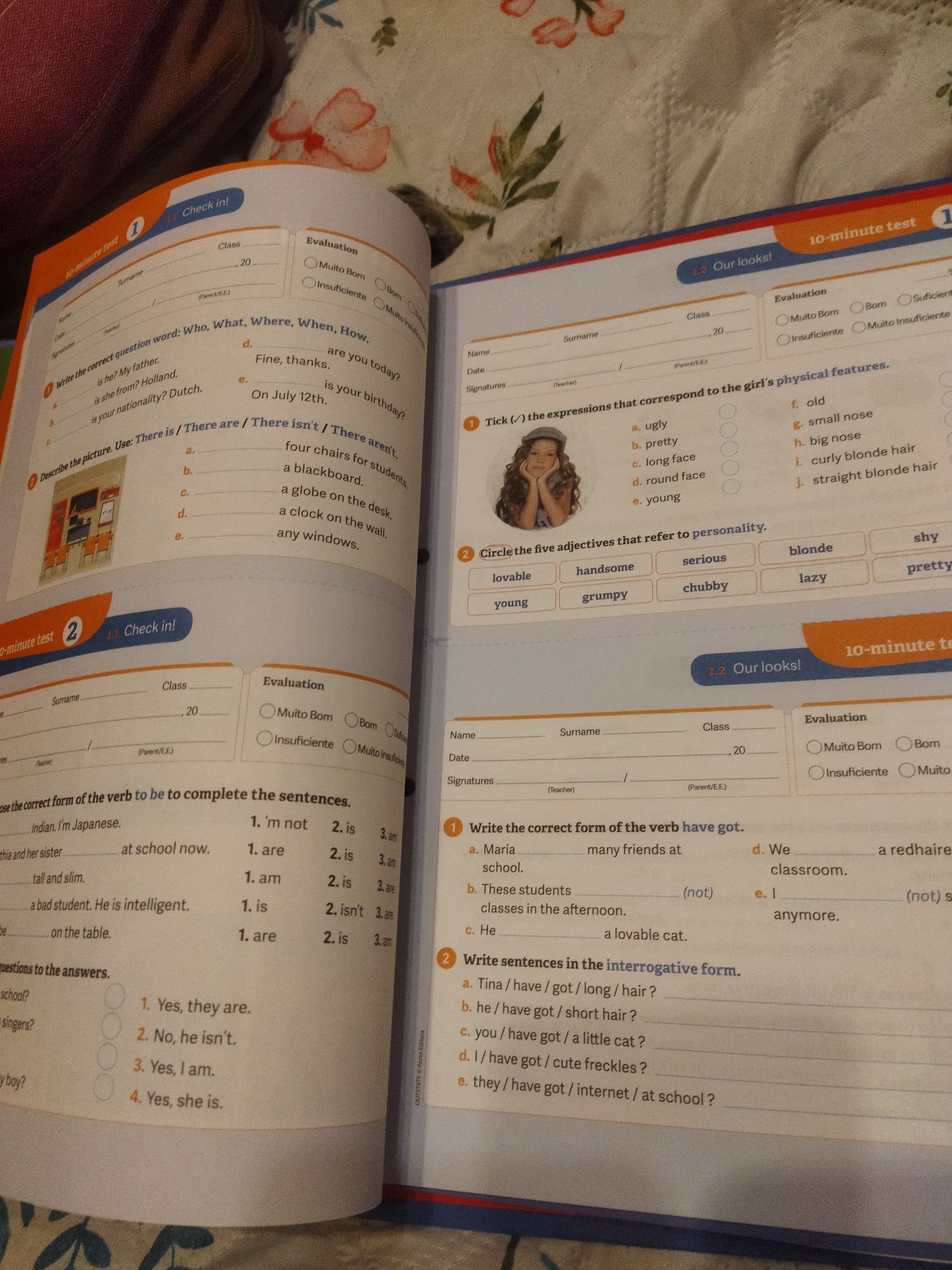 Dossier de fichas de trabalho outstanding 6° ano