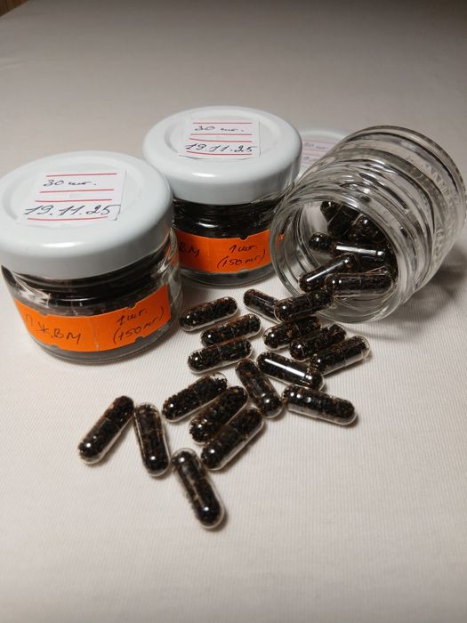 ПЖВМ/восковая моль