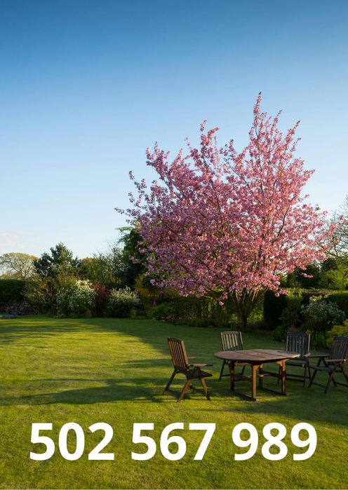 Prace ogrodowe, przygotowanie ogrodu do zimy oraz wiosny