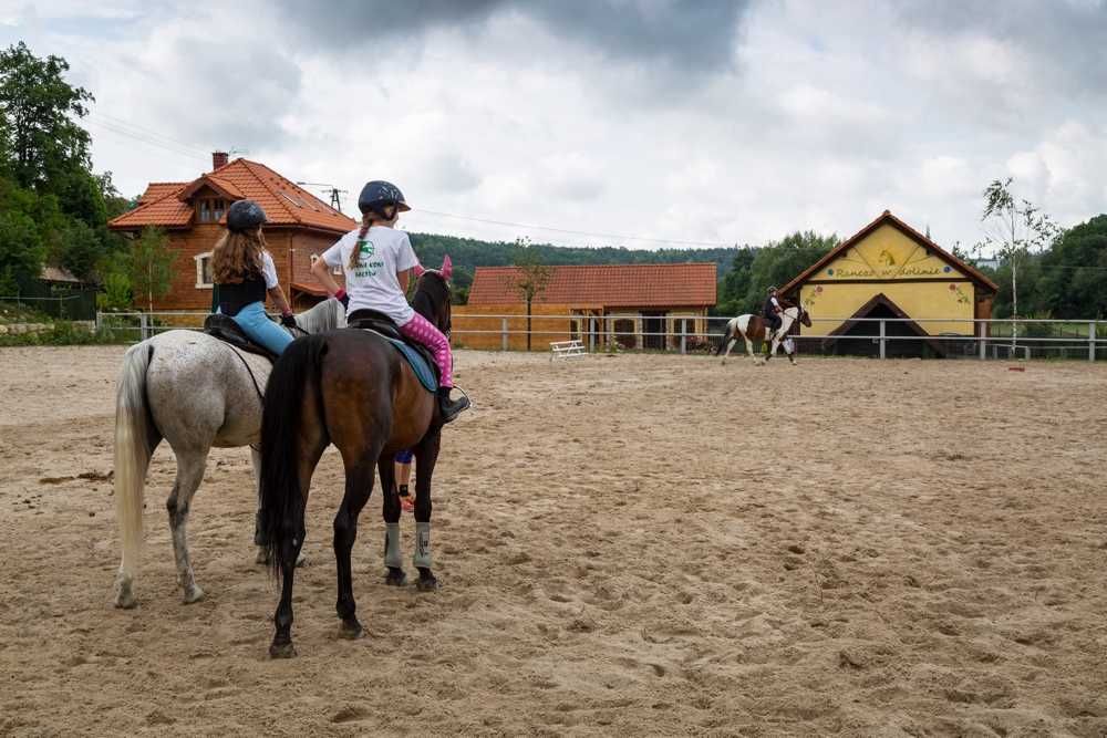 Geowłóknina POLIPROPYLENOWA ujeżdzalnia, padok, lonżownik