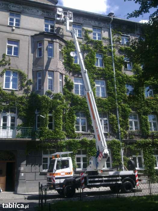 Podnośnik koszowy, zwyżka kraków,wycinka drzew, prace na wysokości,