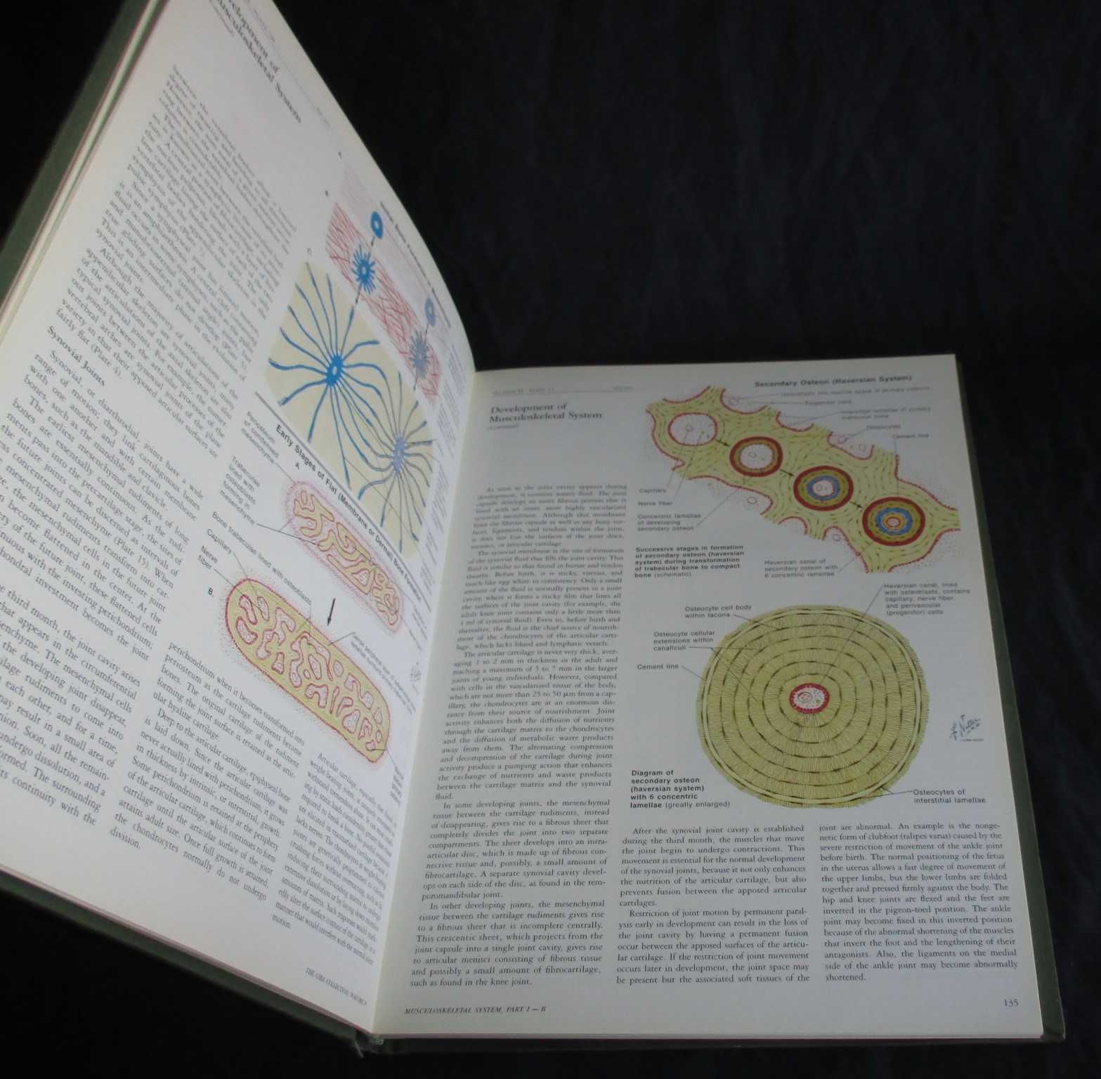 Livro Ciba Collection Of Medical Illustrations Musculoskeletal System