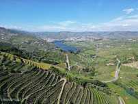 Terreno Agrícola em Samodães de 32187,00 m2
