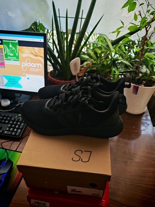 Кросівки Adidas Puremotion M FX8923