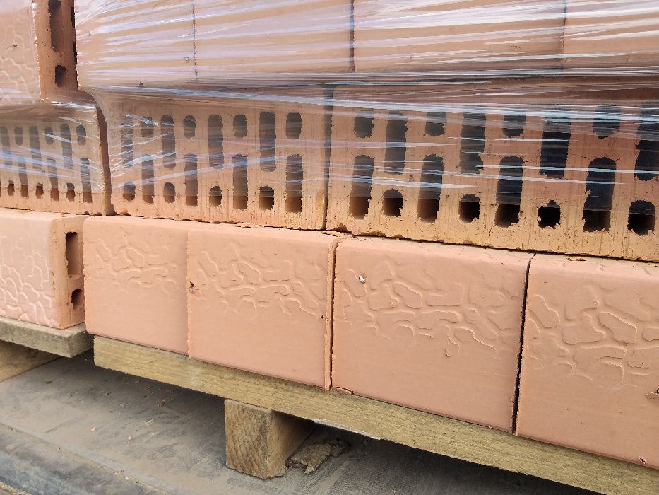 ЦЕГЛА (250*120*138мм).Доставка+розвантаження.Стрий та Стрийський район