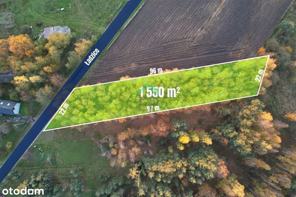 działka w otoczeniu zieleni