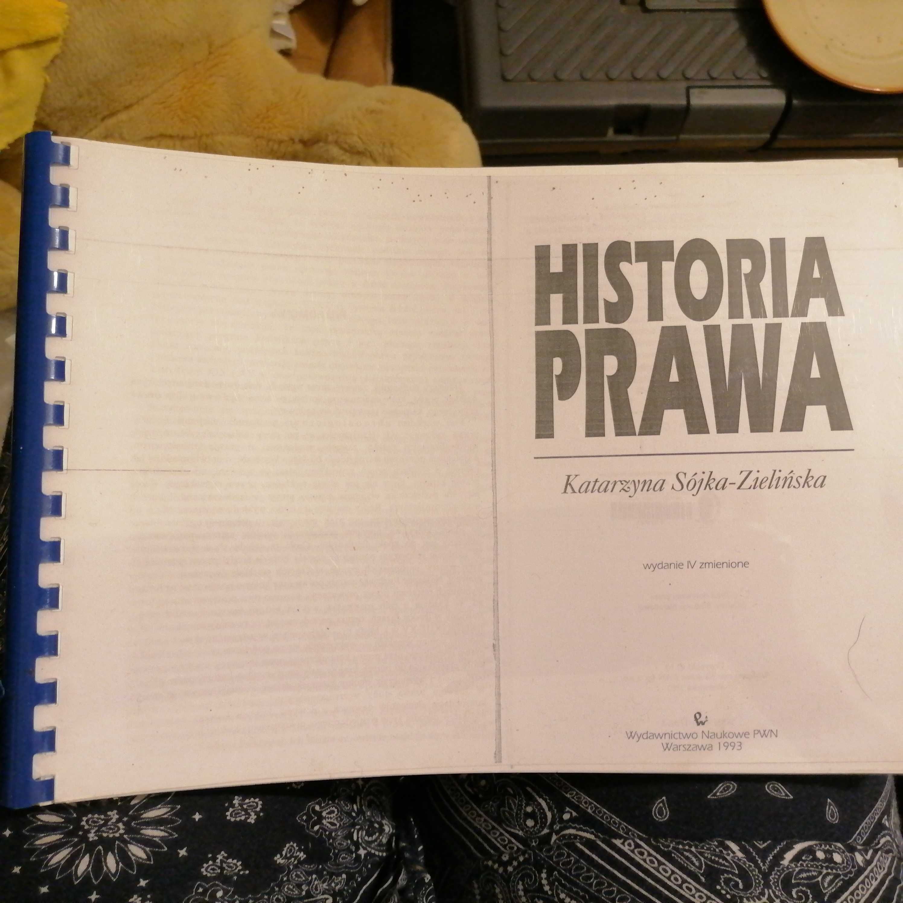 Historia prawa-Katarzyna Sójka-Zielińska