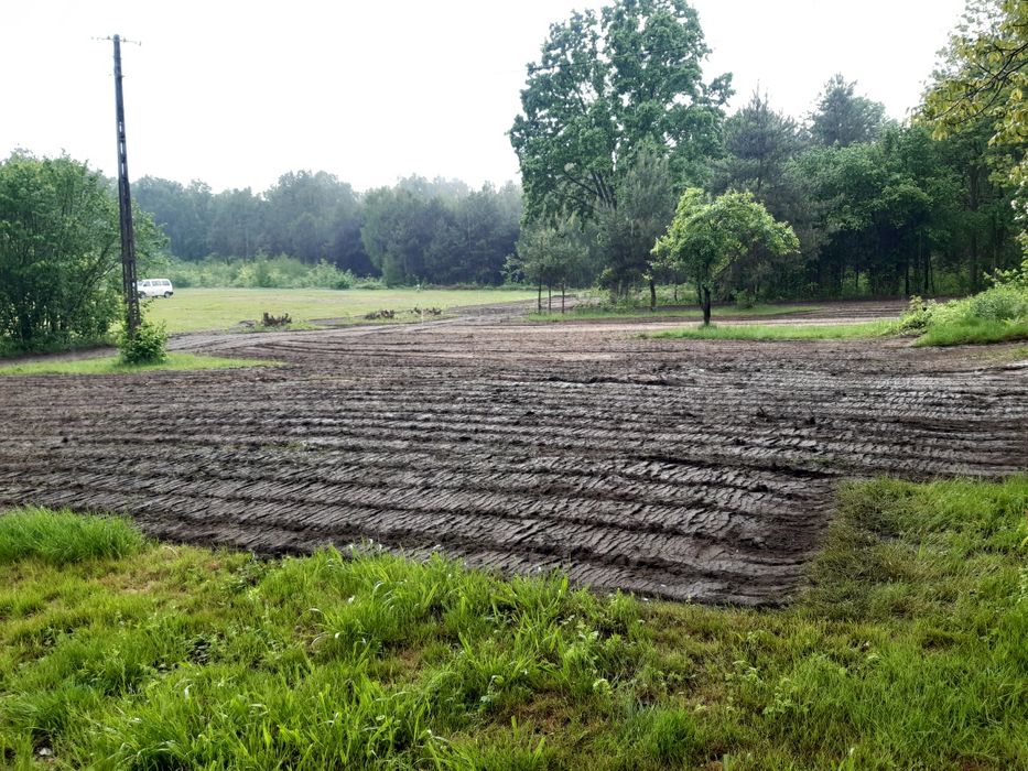 Wycinka drzew mulczowanie koszenie traw nieużytków czyszczenie terenu