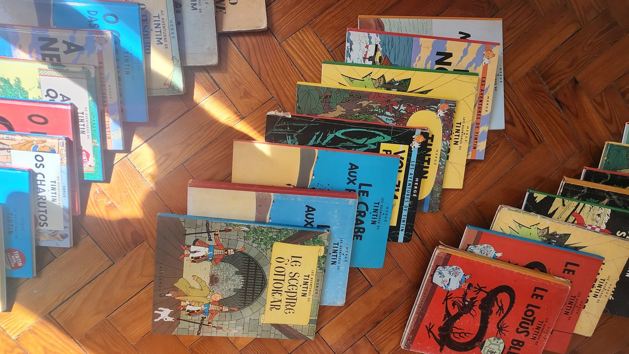 Livros Tintin PT e FR