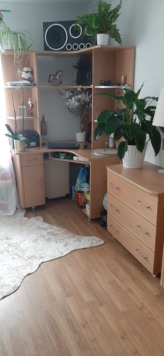 Meblościanka Młodzierzowa Jasny dąb