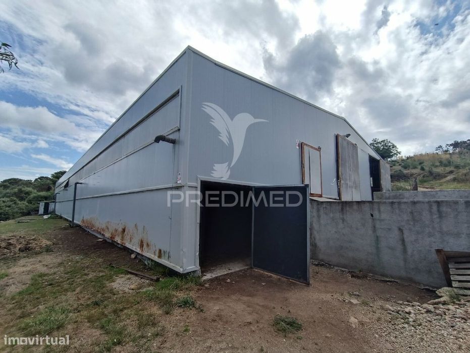 Exploração agropecuaria em Trancoso