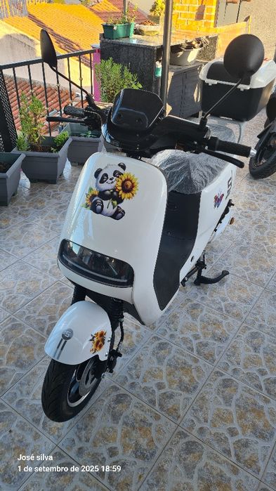Mota eletrica city bike