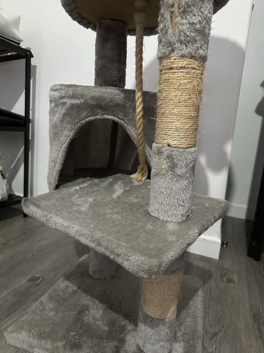 Arranhador Gatos