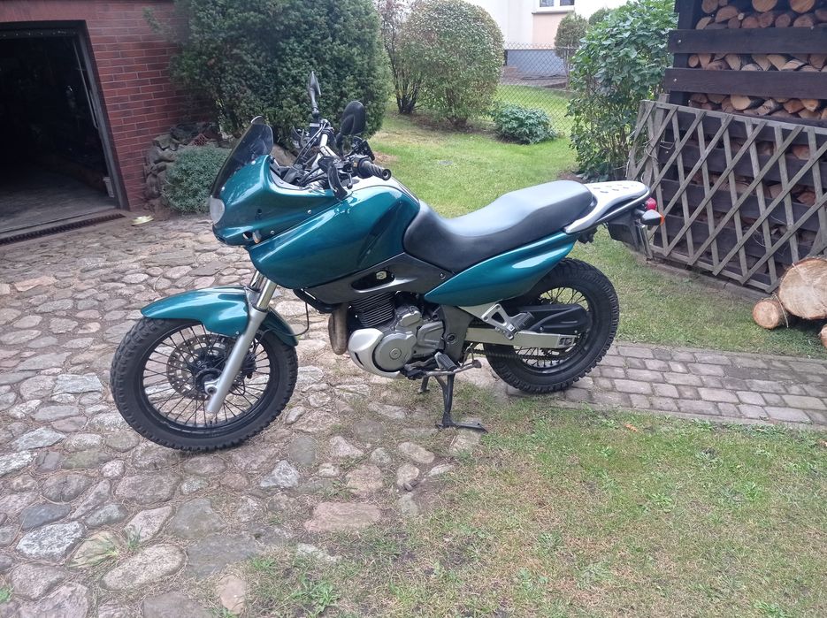 Suzuki XF 650 Freewind