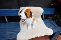 Pluszowy realistyczny pies Bernardyn duży