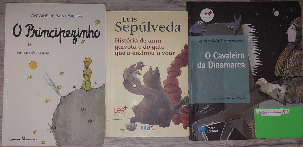 Principezinho/Gaivota Gato que a ensinou a voar/Cavaleiro da Dinamarca