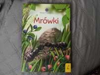 Mrówki młody obserwator przyrody