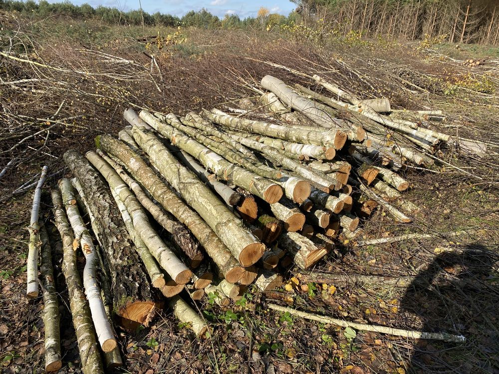 Дрова тверді Від 1300грн дрова рубані-метровкі) опт -дуб-граб вільха
