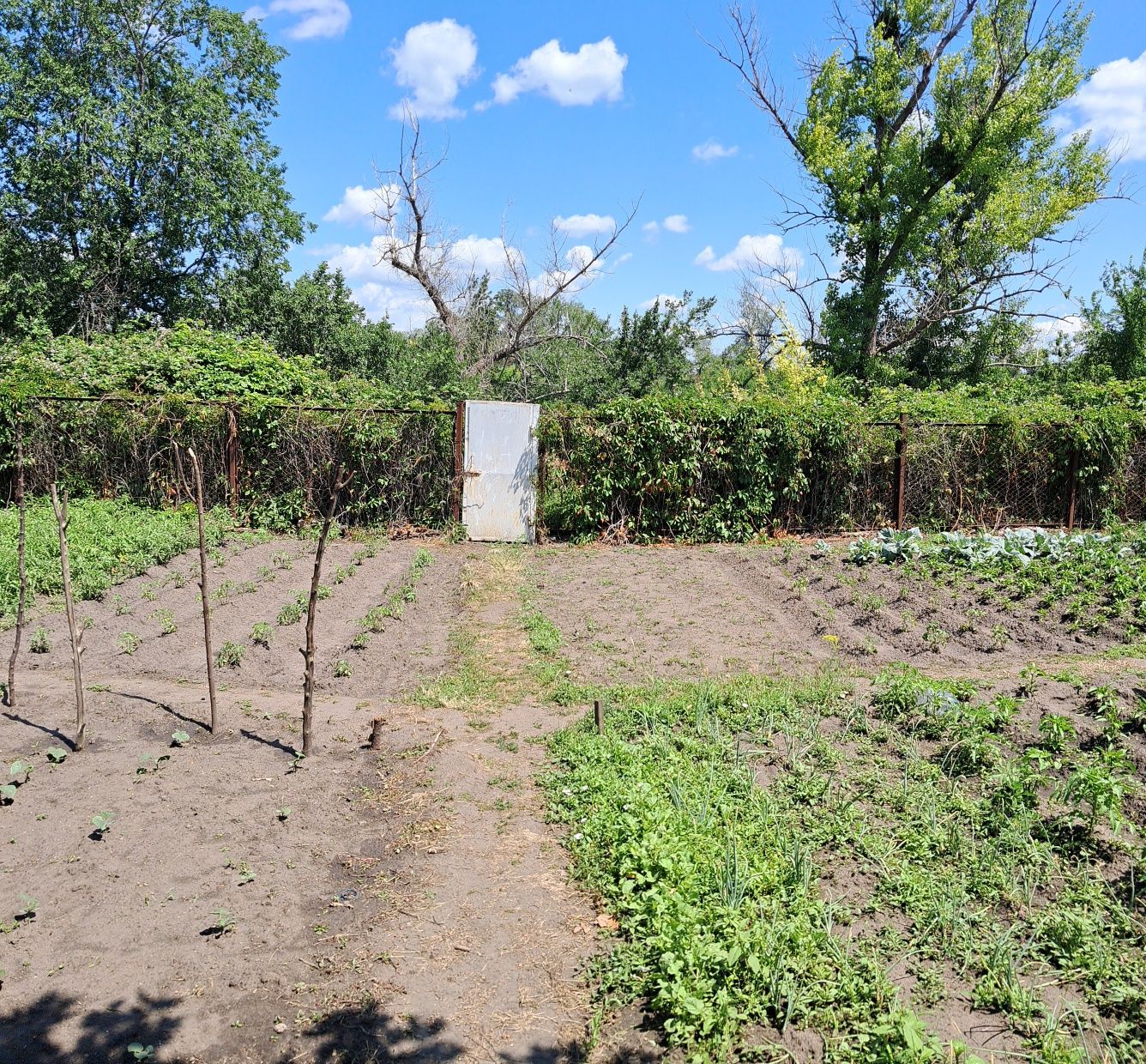 Продам дом со СВОИМ БЕРЕГОМ в самом центре г. Самар ( Новомосковск)