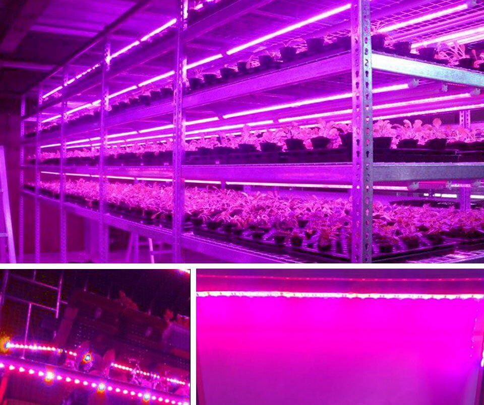 Світлодіодна водозахищена фіолетова стрічка для рослин 3м від USB