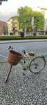 Bicicleta Adriatica