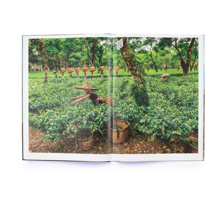Книга Steve McCurry: In Search of Elsewhere: Unseen Images