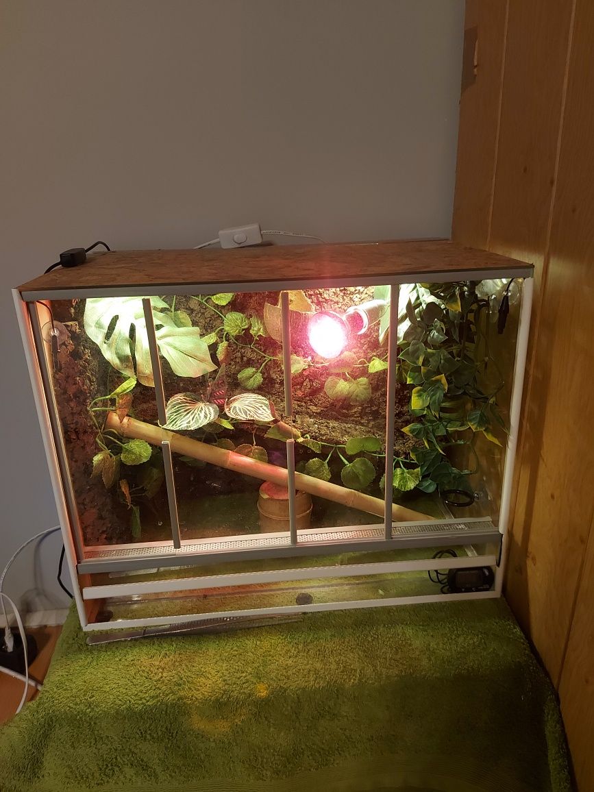 Terrarium po gekonie 50x40x30