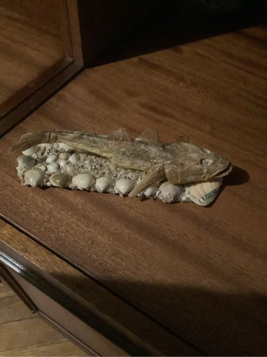 Морские ракушки  и изделия из ракушек