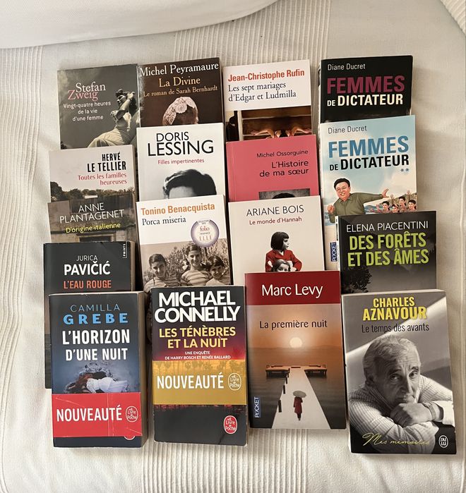 Lote de 17 livres de poche