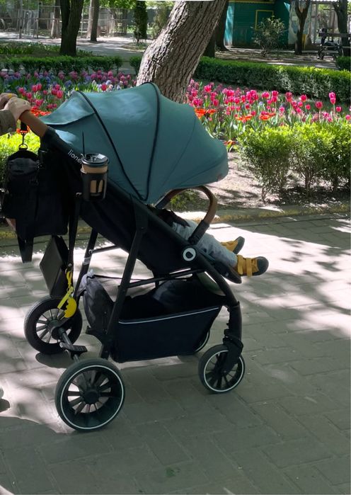 Прогулянкова коляска lionelo