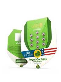 Nasiona marihuany  Royal Cookies Auto / RQS 10szt