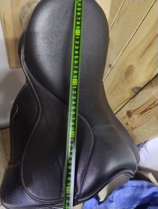 ujeżdżeniowe Claridge House 15'5 - 16"