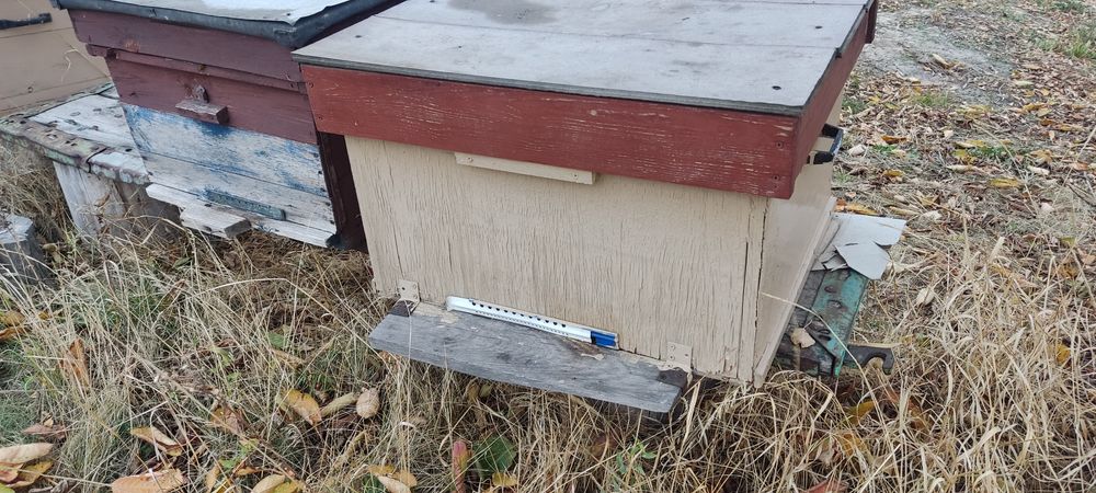 Улики, улья, вулики, корпуса для пчёл